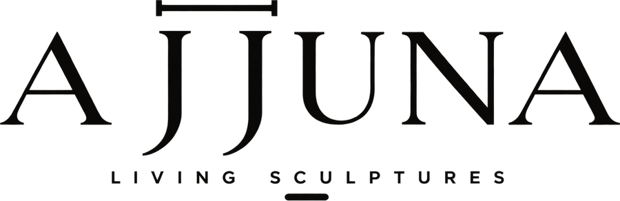 Ajjuna — Living Sculptures